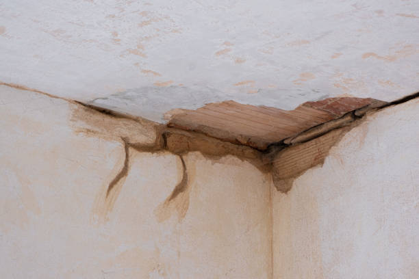 Best Water damage contractors near me  in Britt, IA