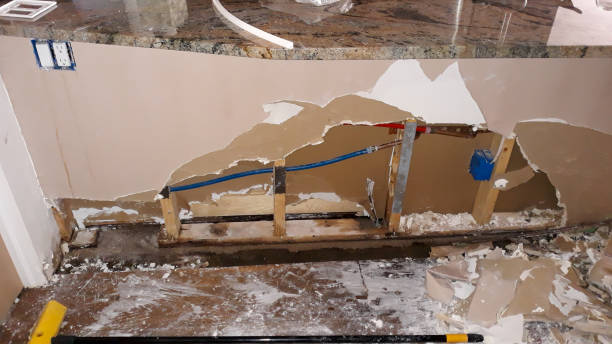 Best Local water damage restoration  in Britt, IA