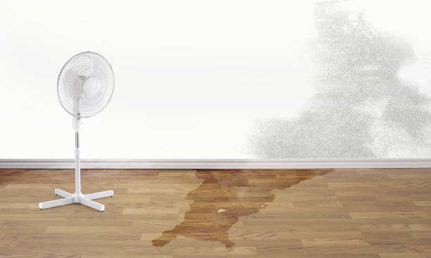 Best Water damage repair service  in Britt, IA