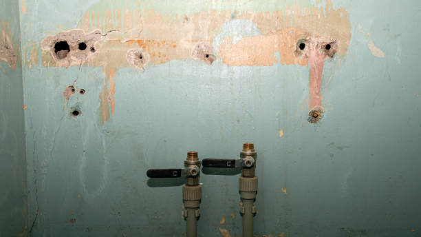 Best Residential water damage restoration  in Britt, IA